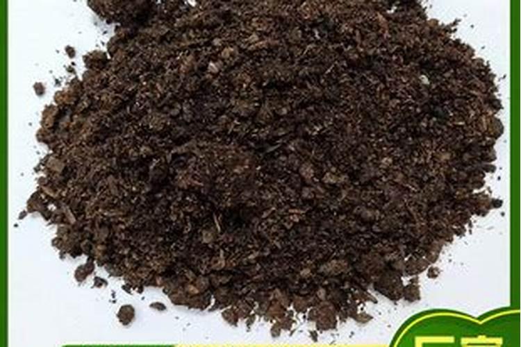 洋葱施什么肥最好