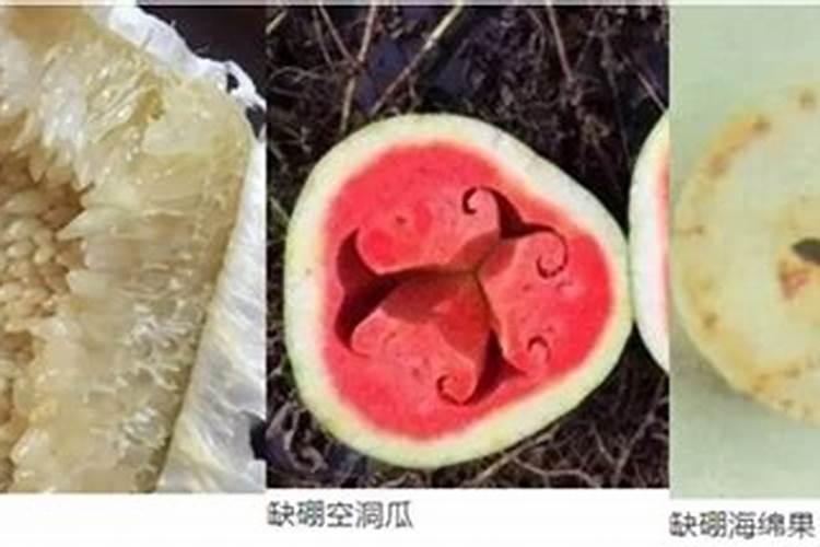 果树一至二月份开花几月份施硼肥合适、