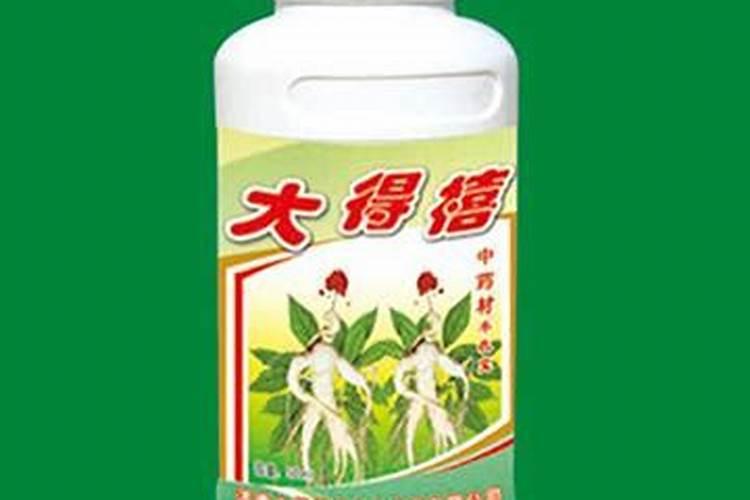 怎样缩短西瓜缓苗期