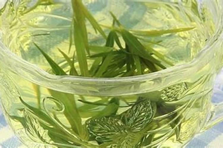 竹柏可以用啤酒做肥料吗？