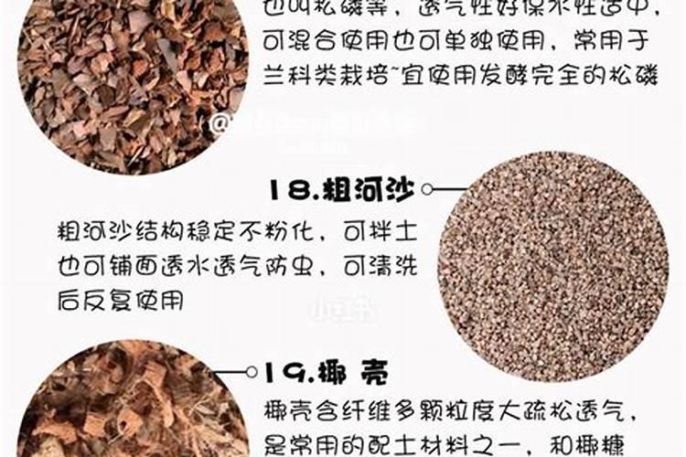 最简单的养花万能土壤 养花用什么肥最好