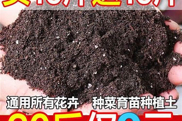 养花一般用什么肥、绿植用什么肥料最好