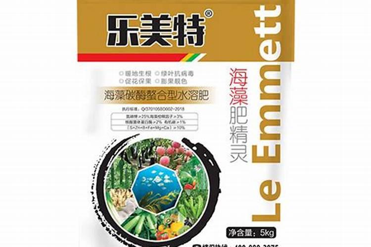 黄瓜浇什么肥料合适