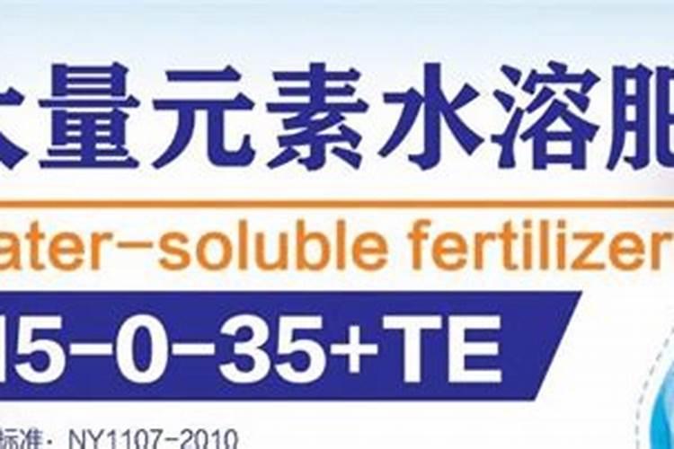 大棚西红柿亩产量多少斤