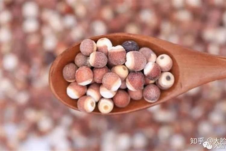 芡实怎么种植技术 芡实的种植技术介绍