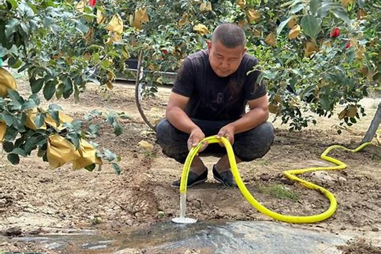 水溶肥好还是复合肥好