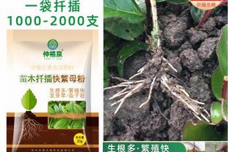 水溶肥料怎么使用 水溶肥如何使用效果更好