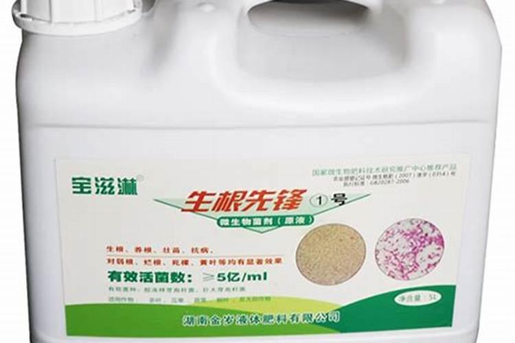 狐尾草的意思是什么