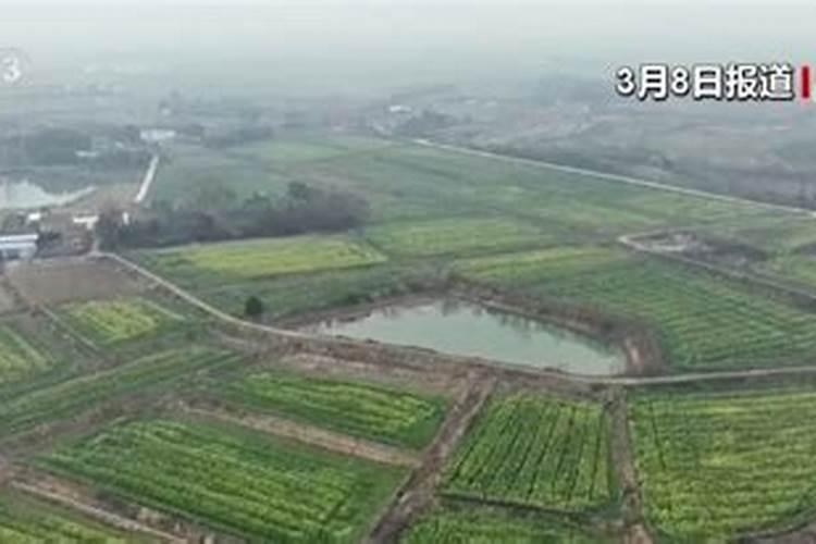 给小麦打叶面肥,是孕穗期还是出齐穗后呢？