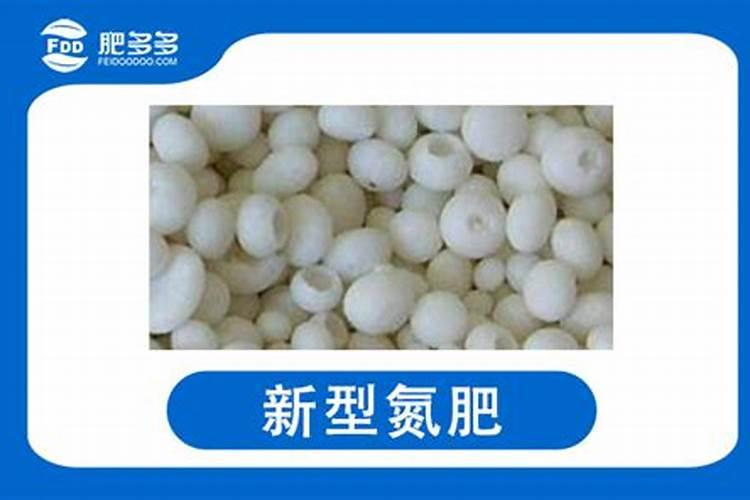 辣椒苗不分叉怎么回事