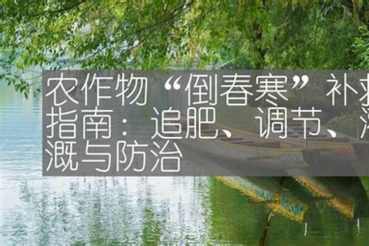 小麦防倒春寒最佳配方