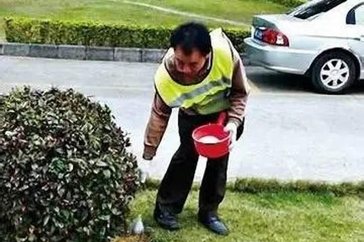 尿素和硝酸铵钙哪个肥效期长