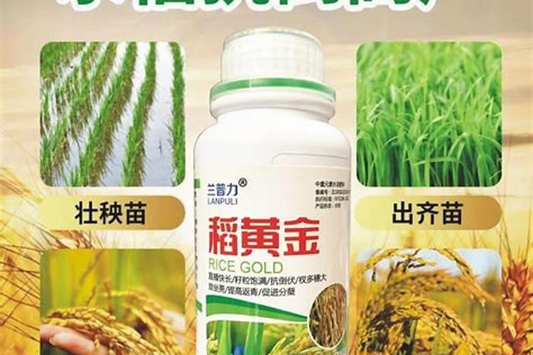 em菌液可腐植酸混用吗