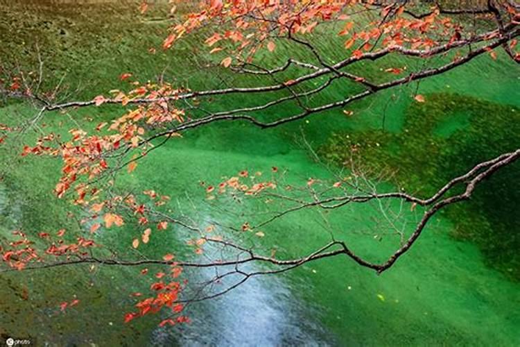 叶面肥的优势有哪些？