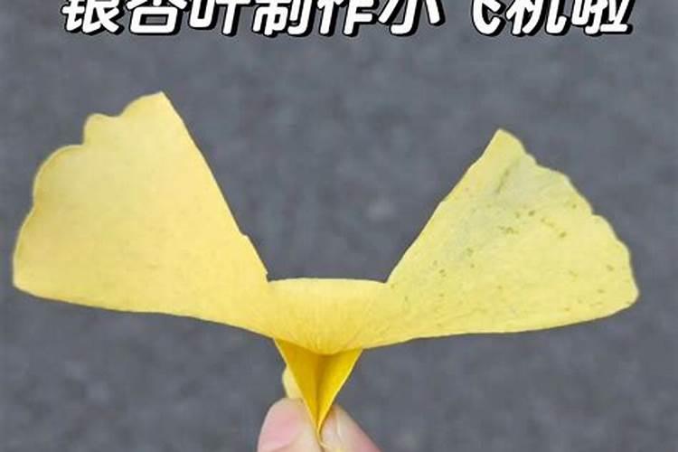 用松针,松树皮,核桃皮,花生皮,银杏叶一起腐熟做君子兰花肥可以吗？