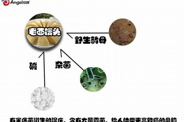 剩馒头能沤肥浇花吗