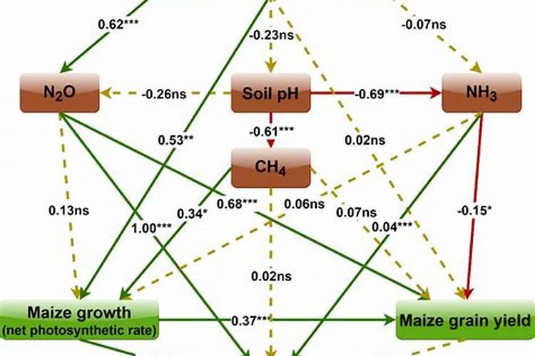 化学肥料(比如尿素)和人工自然肥料有啥区别？
