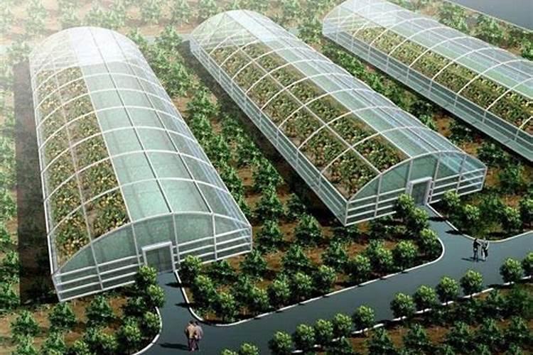 水稻施用氮肥过量有何危害