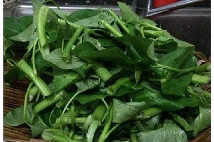 潜水搅拌机如何选型？