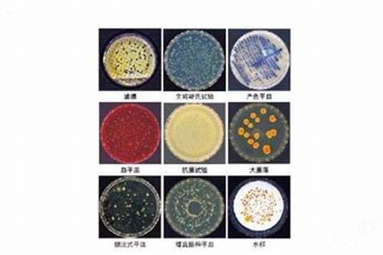 生物有机肥是什么肥料 有机肥的生产工艺流程