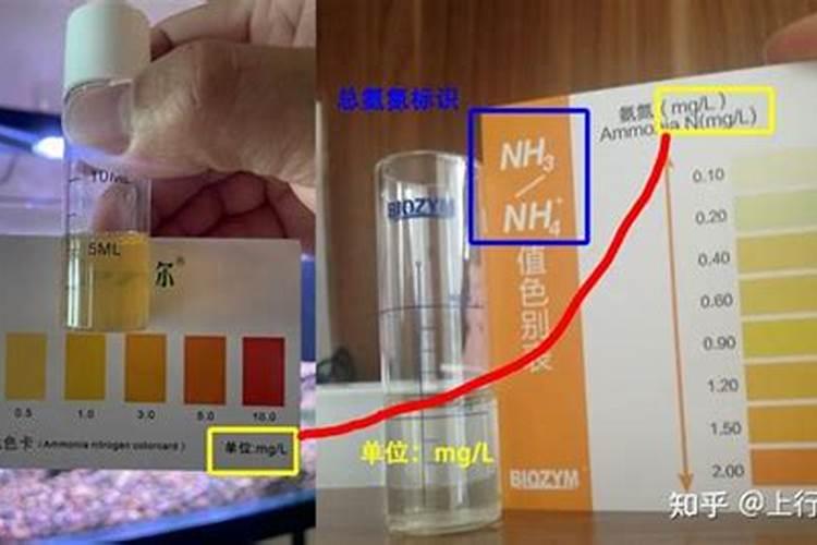 可溶性食用鱼蛋白特性与营养质量