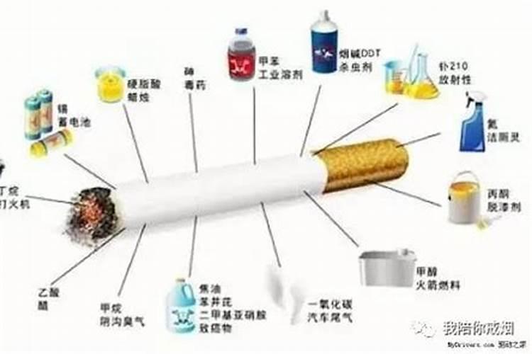烟叶选土施肥需要注意什么 烟叶的整地与施肥技巧介绍