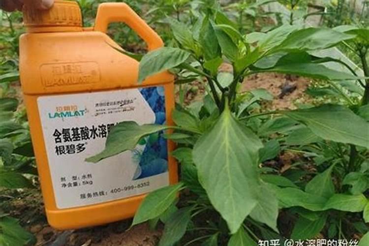 西红柿喷药用哪些药