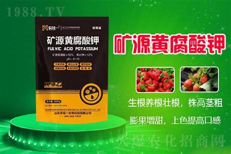 春天小麦什么时间浇水