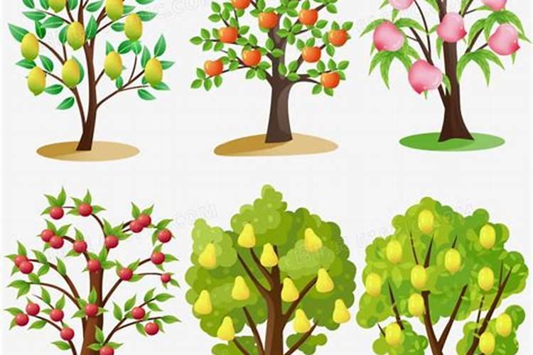 彭果的大量元素水溶肥有哪些