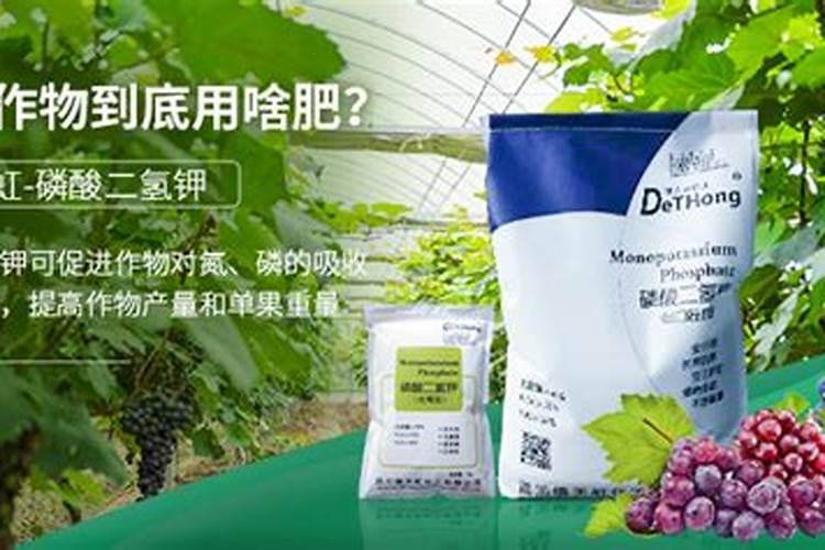 嘉施利水溶肥怎么样一顿多少钱
