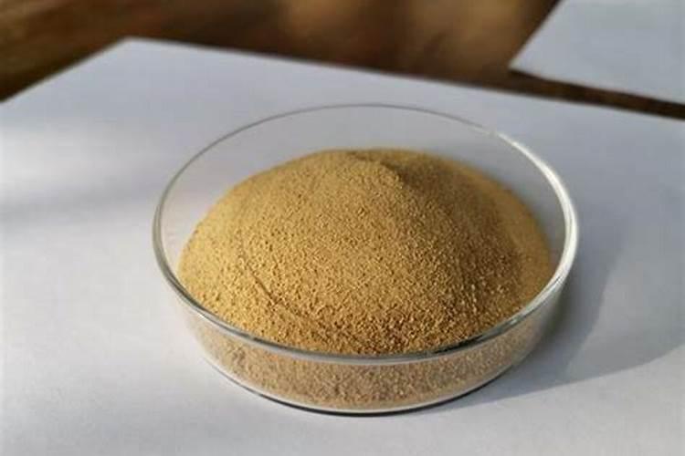 鱼蛋白叶面肥的五个最佳选择