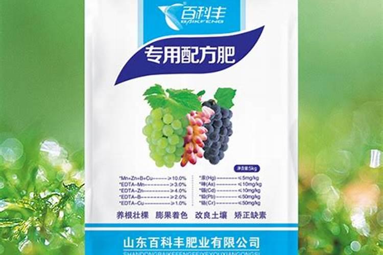 吊兰施什么肥料长得好