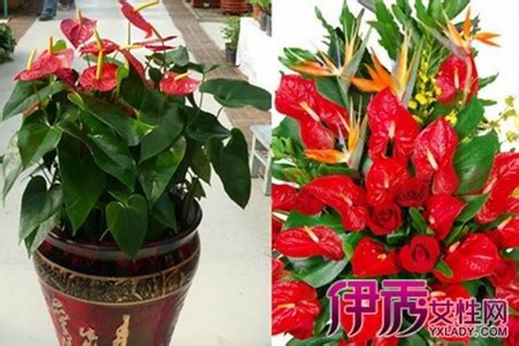 中国为啥不允许艾多美做直销？