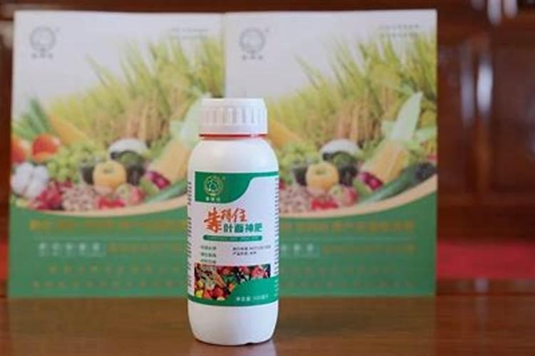 叶面肥是什么肥料
