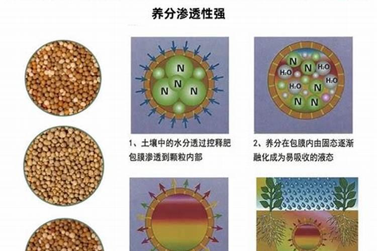 包衣尿和脲甲醛尿素哪个好