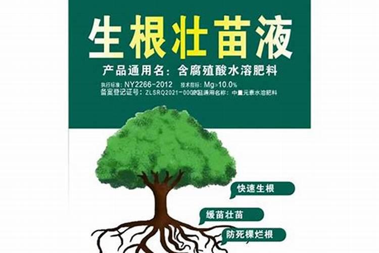 请问老师葡萄怎样施肥