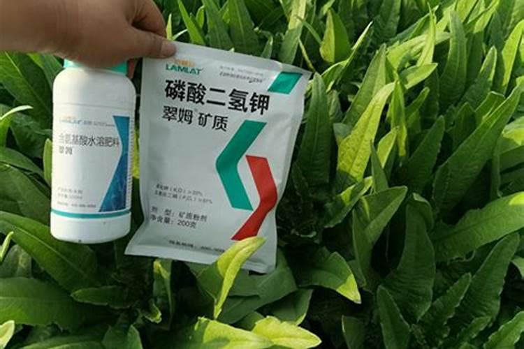 国内比较好水溶肥厂家有哪些？