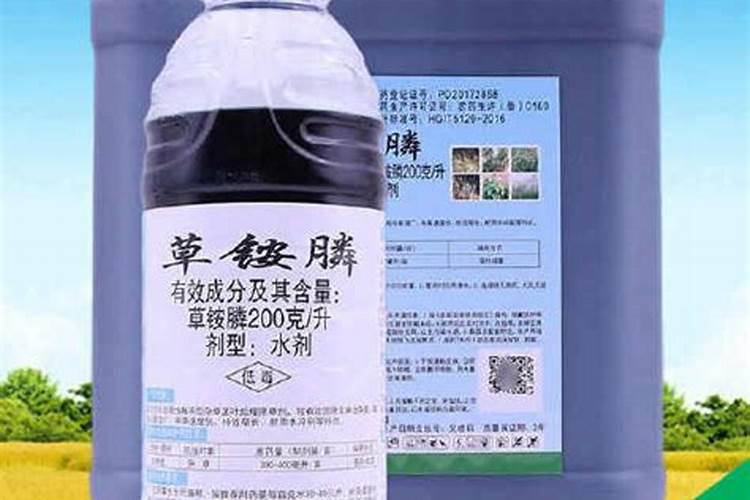 四季丁香种植技术