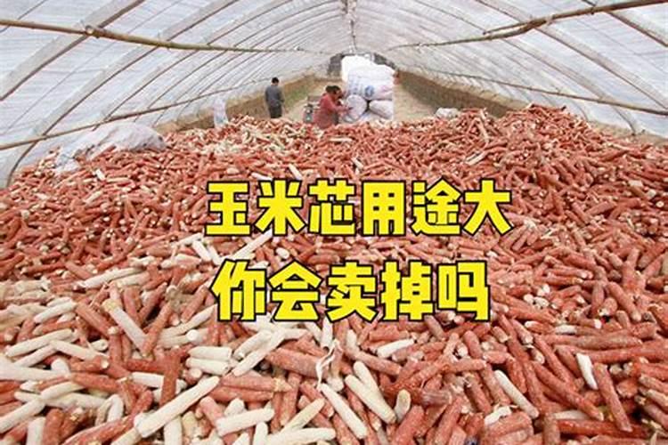 玉米芯种平菇最佳配方