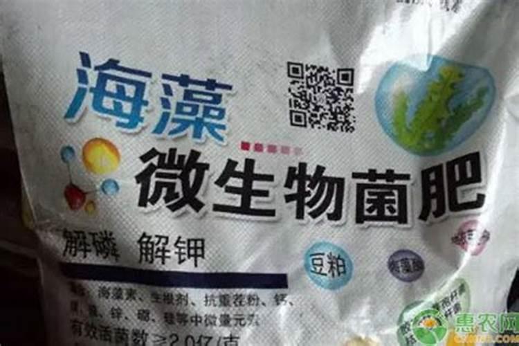 海藻有机肥能完全代替化肥用吗？哪个省钱？哪个效果好？