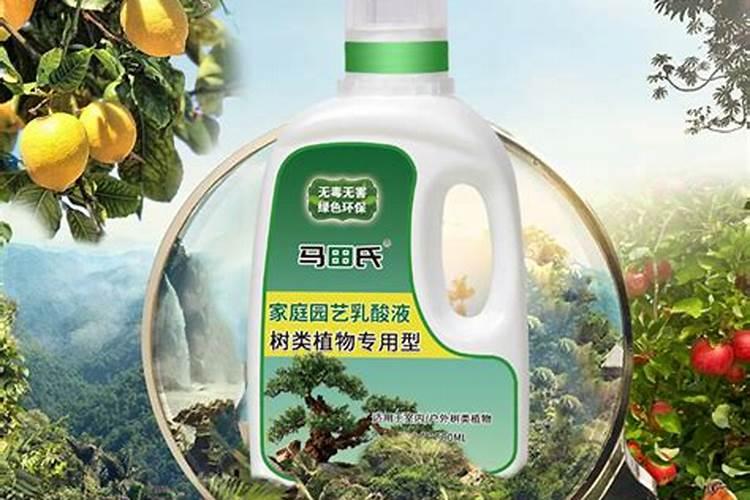 桂花树专用肥有哪些 施肥注意事项