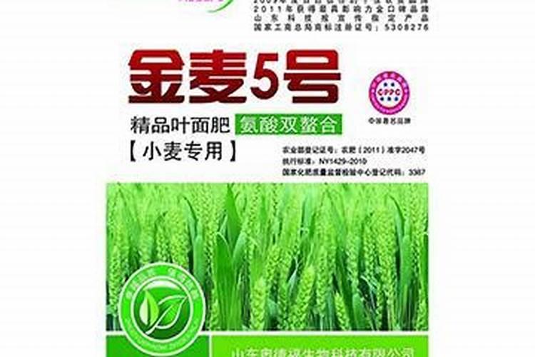 种地瓜用什么肥料最好