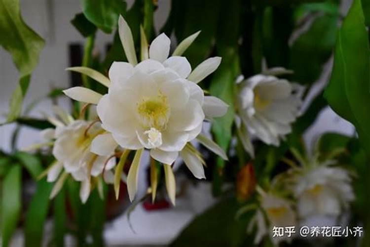 五谷杂粮过期如何利用？