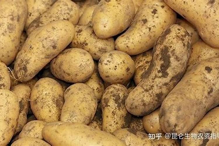马铃薯用什么叶面肥好 打几次效果好