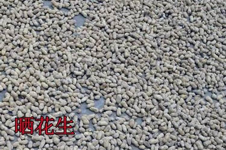 花生喷施硼肥最佳时间 使用注意事项有哪些