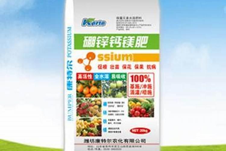 种蒜什么时间上肥料