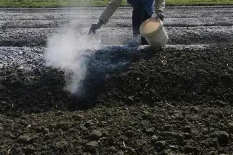 虾塘怎样用磷肥肥水