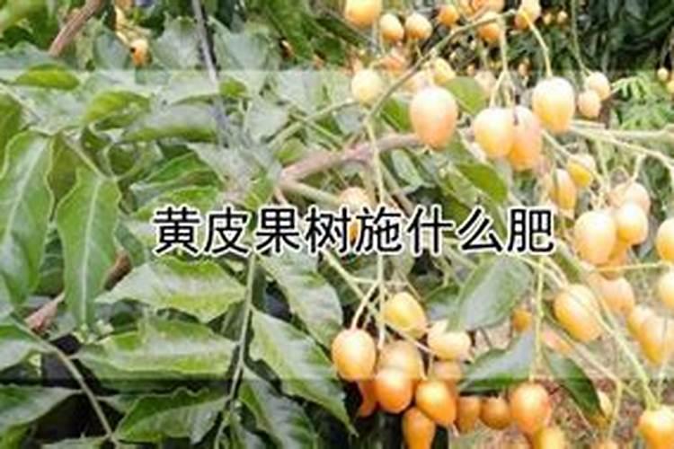 35度可以打农药吗
