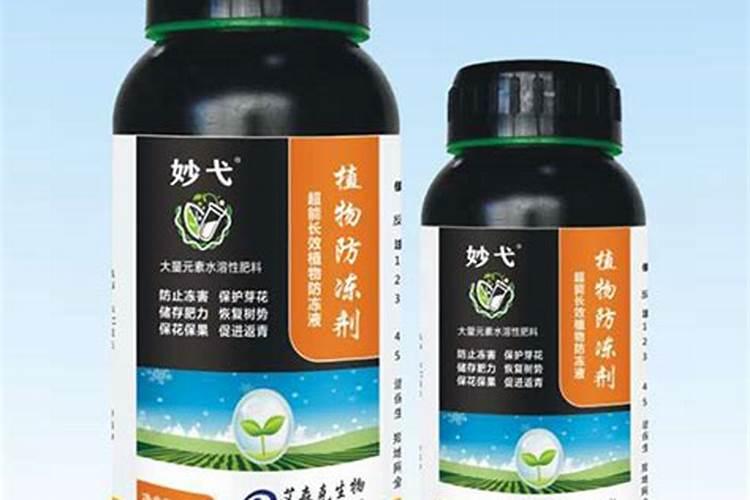 苹果树花期如何管理 应该注意哪些细节