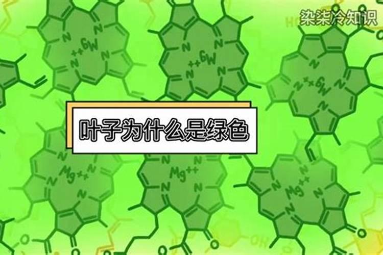 中量元素篇:各种元素的生理作用以及元素缺乏症状表现